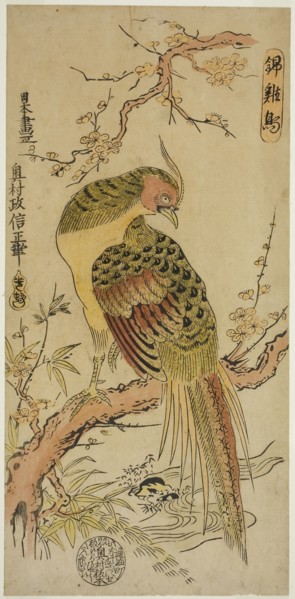 Golden Pheasant (Kinkeicho), c. 1720/25, Okumura Masanobu, Japanese, 1686-1764, Japan, Hand-colored