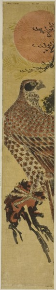 Falcon at Sunrise, c. 1775, Attributed to Isoda Koryusai, Japanese, 1735–1790, Japan, Color