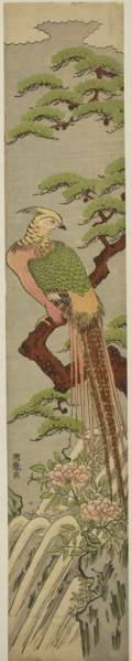 Golden Pheasant on a Pine Tree above Peonies and Waterfall, c. 1780, Isoda Koryusai, Japanese,
