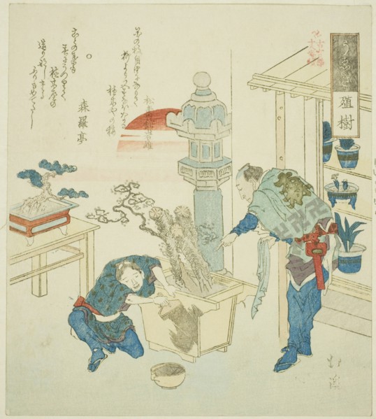 Potted Plant (Ueki), from the series Eighteen Illustrations of the Ladder of Ancient Words