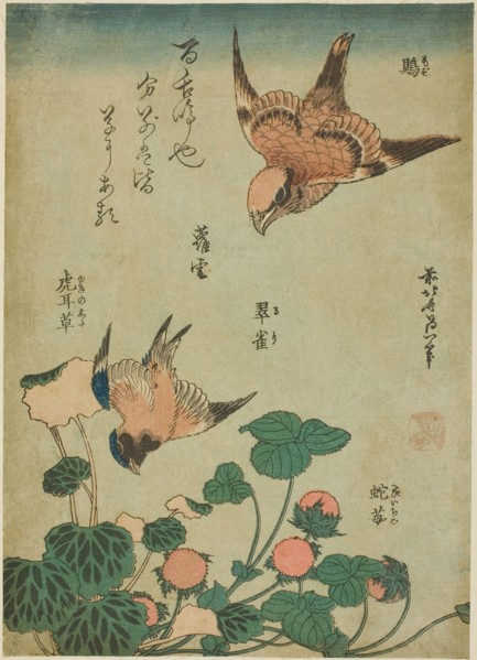 Bull-headed Shrike and Bluebird with Saxifrage and Wild Strawberry (Mozu, ruri, yukinoshita,