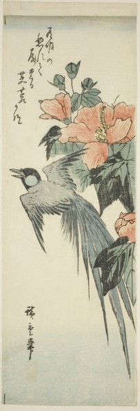Long-tailed bird and hibiscus, 1830s–1840s, Utagawa Hiroshige ?? ??, Japanese, 1797-1858, Japan,