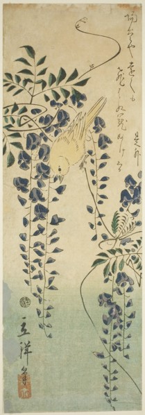 Canary and wisteria, 1865, Utagawa Hiroshige II (Shigenobu), Japanese, 1826–1869, Japan, Color