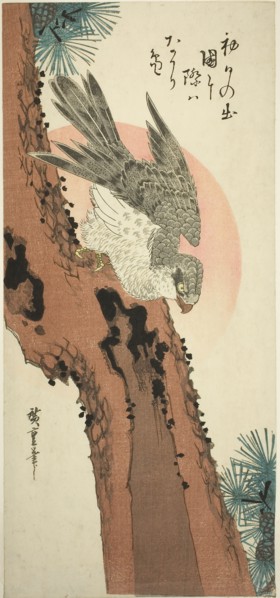Falcon on a Pine Tree with the Rising Sun, c. 1835, Utagawa Hiroshige ?? ??, Japanese, 1797-1858,