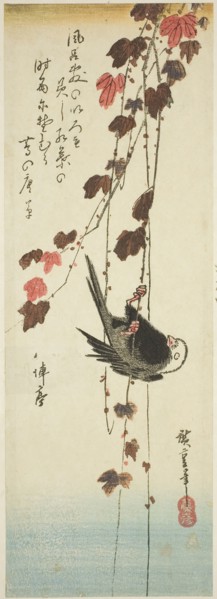 White-headed bird and ivy, mid–1830s, Utagawa Hiroshige ?? ??, Japanese, 1797-1858, Japan, Color