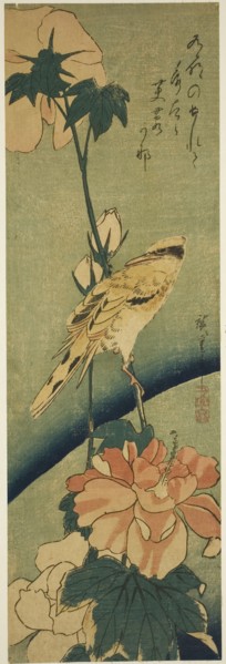 Blacked-naped oriole on hibiscus, mid–1830s, Utagawa Hiroshige ?? ??, Japanese, 1797-1858, Japan,