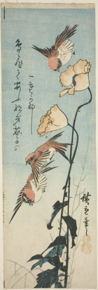 Sparrows and poppies, 1850s, Utagawa Hiroshige ?? ??, Japanese, 1797-1858, Japan, Color woodblock