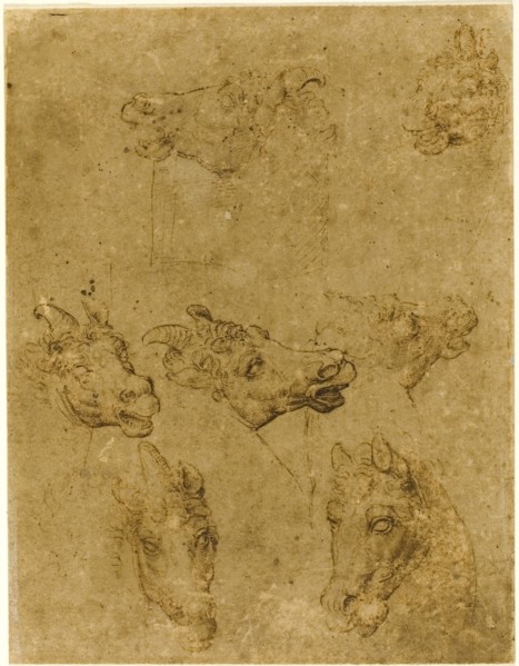 Heads of Horses and Unicorns, 1530/40, Follower of Leonardo da Vinci, Italian, 1452-1519, Italy,