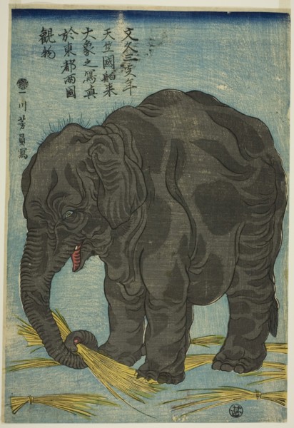 Picture of Large Elephant from India (Tenjiku hakurai dai zo no shashin), An Attraction at Ryogoku