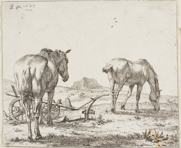 Two Horses by a Plough, 1657, Karel Dujardin, Dutch, c. 1622-1678, Holland, Etching on paper, 155 x