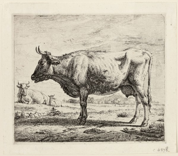 Two Cows and a Sheep, n.d., Adriaen van de Velde, Dutch, 1636-1672, Holland, Etching on ivory