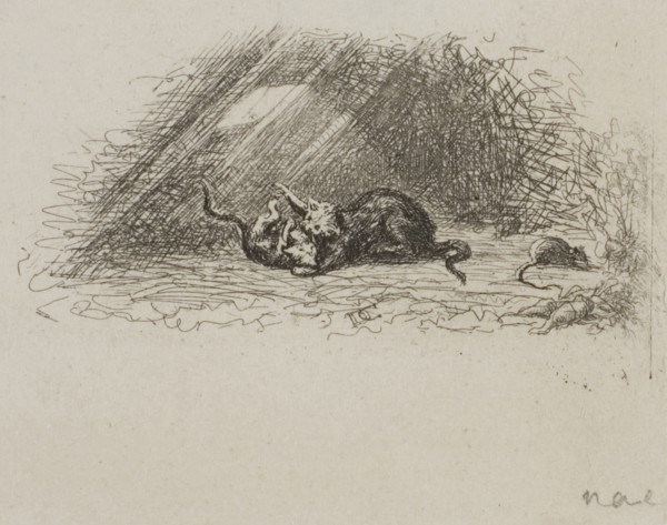 The Cedar of Lebanon, 1842, Charles François Daubigny, French, 1817-1878, France, Etching on white