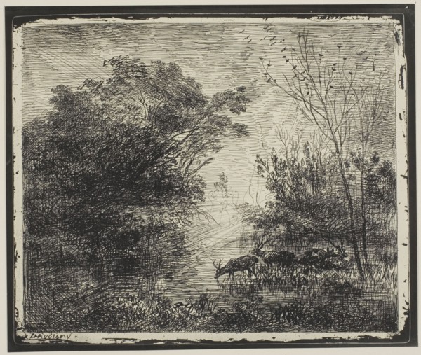Stags, 1862, Charles François Daubigny, French, 1817-1878, France, Cliché-verre on ivory