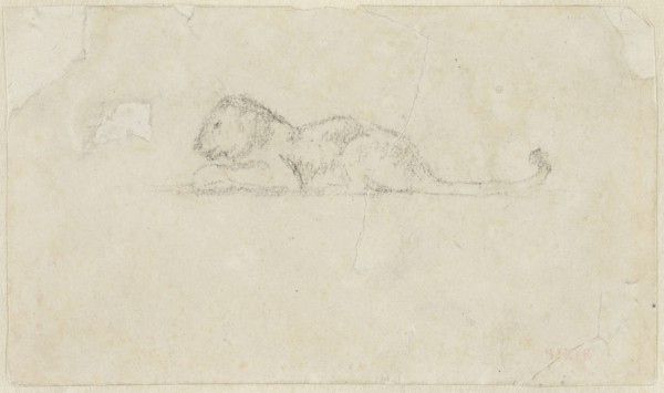 Seated Lioness, n.d., Antoine Louis Barye, French, 1795-1875, France, Graphite on ivory wove paper,