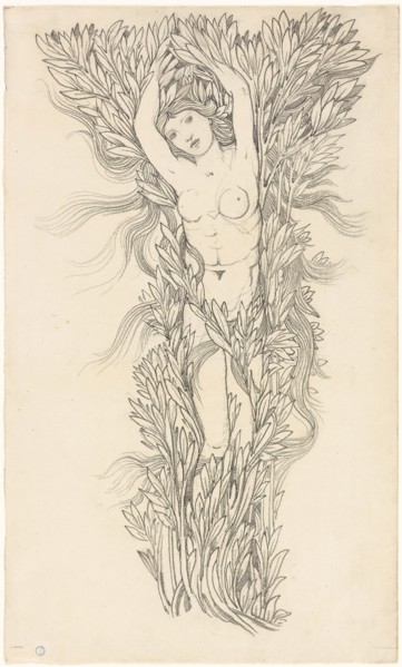 Daphne, n.d., Sir Edward Burne-Jones, style of, English, 1833-1898, England, Graphite on cream laid