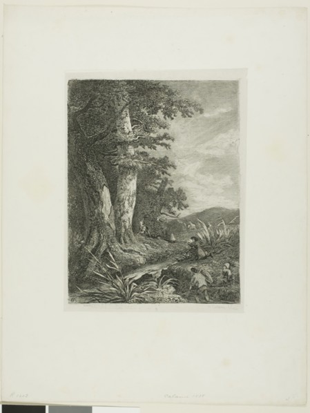 Alpine Landscape, n.d., Alexandre Calame, Swiss, 1810-1864, Switzerland, Etching on paper, 203 x