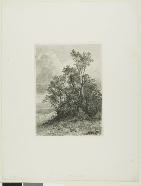 Alpine Landscape, 1861, Alexandre Calame, Swiss, 1810-1864, Switzerland, Etching on paper, 184 x