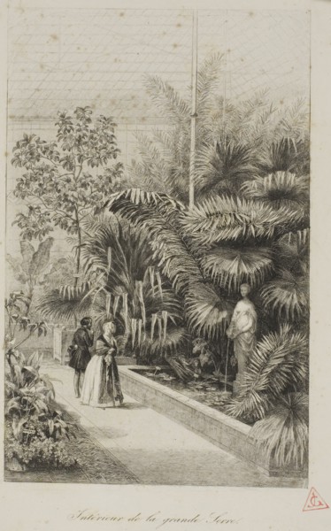 Interior of the Large Greenhouse, 1842, Charles François Daubigny, French, 1817-1878, France,
