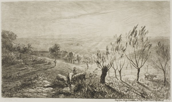 Sunrise, 1850, Charles François Daubigny, French, 1817-1878, France, Etching on ivory wove paper,