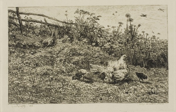 The Hen and her Chicks, c. 1860, Charles François Daubigny, French, 1817-1878, France, Etching on