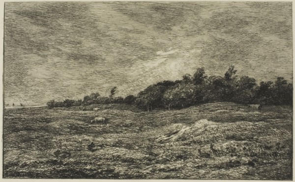 Le Pré des Graves à Villerville (Calvados), 1875, Charles François Daubigny, French, 1817-1878,