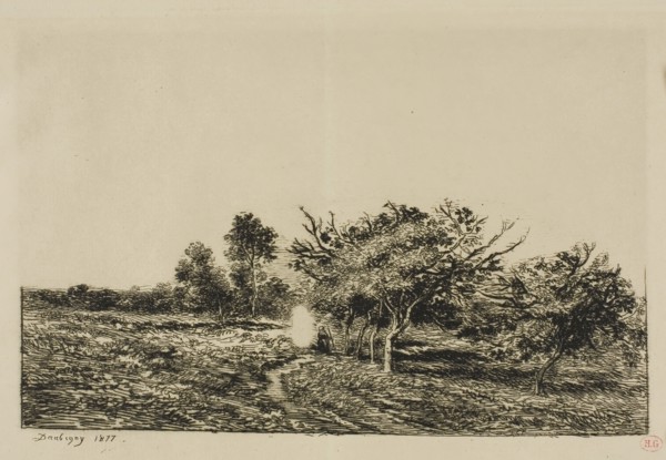 Apple Trees at Auvers, 1877, Charles François Daubigny, French, 1817-1878, France, Etching and