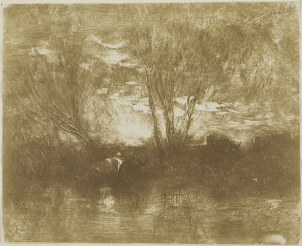 Cows at the Watering Place, 1862, Charles François Daubigny, French, 1817-1878, France,