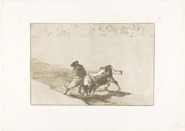 The Very Skilful Student of Falces, Wrapped in his Cape, Tricks the Bull with the Play of his Body,