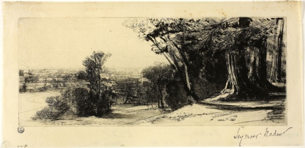 Early Morning, Richmond Park, 1859, Francis Seymour Haden, English, 1818-1910, England, Etching and