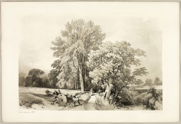 Abele and Oak, from The Park and the Forest, 1841, James Duffield Harding (English, 1798-1863),