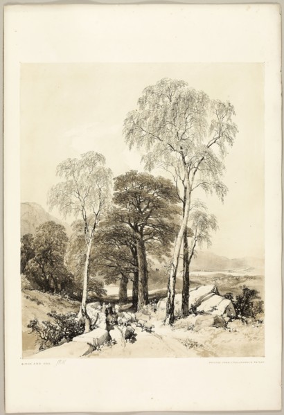 Birch and Oak, from The Park and the Forest, 1841, James Duffield Harding (English, 1798-1863),
