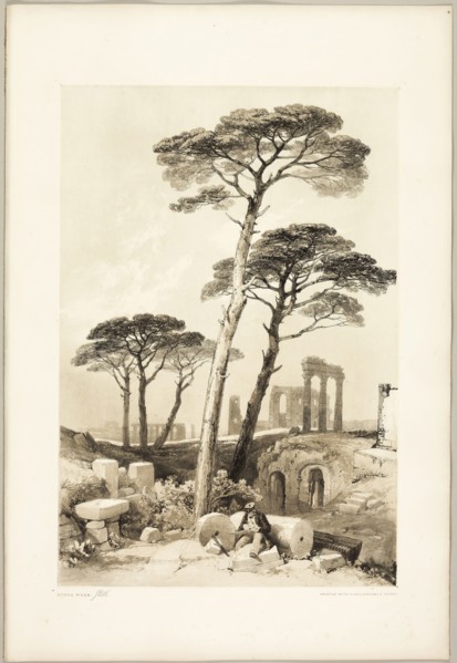 Stone Pines, from The Park and the Forest, 1841, James Duffield Harding (English, 1798-1863),
