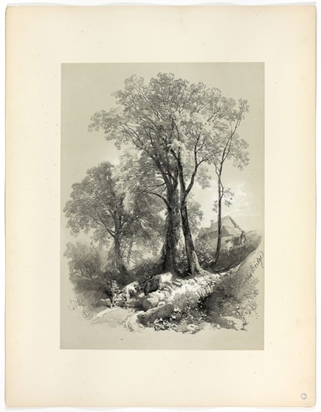 Shipley Bridge, Devon, from Picturesque Selections, 1859, James Duffield Harding, (English,
