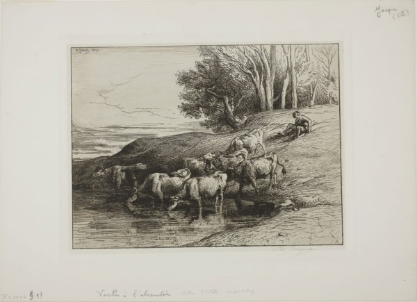 Cows at the Watering Place, 1850, Charles Émile Jacque, French, 1813-1894, France, Etching,