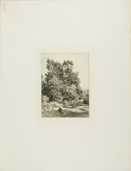 Landscape with Cowherd, c. 1865, Charles Émile Jacque, French, 1813-1894, France, Etching on ivory