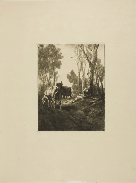 Cowherd, n.d., Charles Émile Jacque, French, 1813-1894, France, Etching, drypoint and roulette on