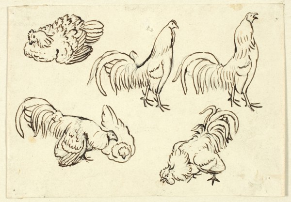 Sketches of Poultry, n.d., Attributed to Henry Stacy Marks, English, 1829-1898, England, Pen and
