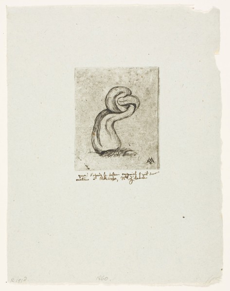 The Sickly Cryptogam, 1860, Charles Meryon, French, 1821-1868, France, Etching with plate tone on