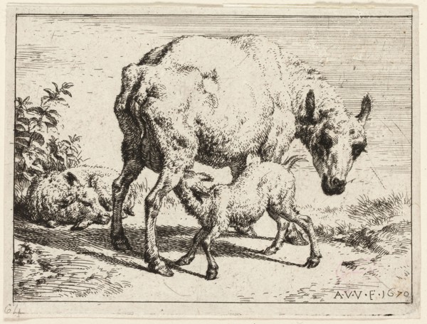 The Lamb, 1670, Adriaen van de Velde, Dutch, 1636-1672, Holland, Etching in black on ivory wove