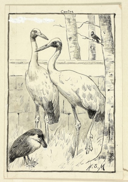 Four Birds in Landscape, n.d., Henry Stacy Marks, English, 1829-1898, England, Pen and black ink,