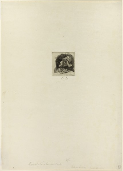 Flemish Market-Gardener, n.d., Félicien Rops, Belgian, 1833-1898, Belgium, Drypoint on ivory wove