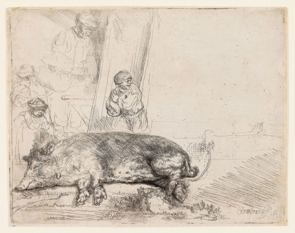 The Hog, 1643, Rembrandt van Rijn, Dutch, 1606-1669, Holland, Etching and drypoint on paper, 143 x