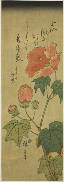Hibiscus, c. 1843/47, Utagawa Hiroshige ?? ??, Japanese, 1797-1858, Japan, Color woodblock print,
