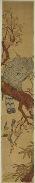 Hawk on Plum Branch Looking Down at Fleeing Bird, c. 1775, Attributed to Isoda Koryusai, Japanese,