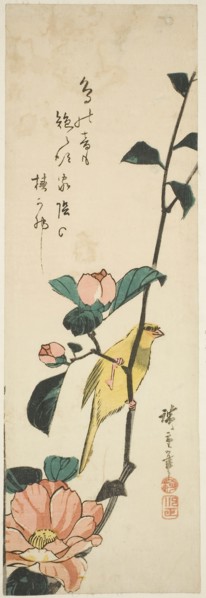 Canary and camellias, 1840s, Utagawa Hiroshige ?? ??, Japanese, 1797-1858, Japan, Color woodblock