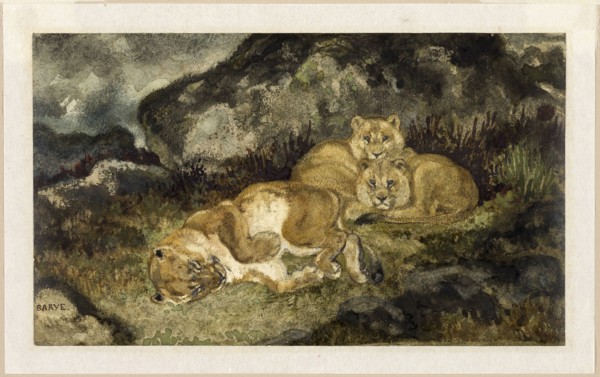 Lioness and Cubs, c. 1832, Antoine Louis Barye, French, 1795-1875, France, Watercolor, with