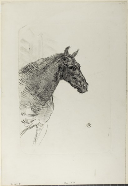 Philibert the Pony, 1898, Henri de Toulouse-Lautrec, French, 1864-1901, France, Lithograph on ivory