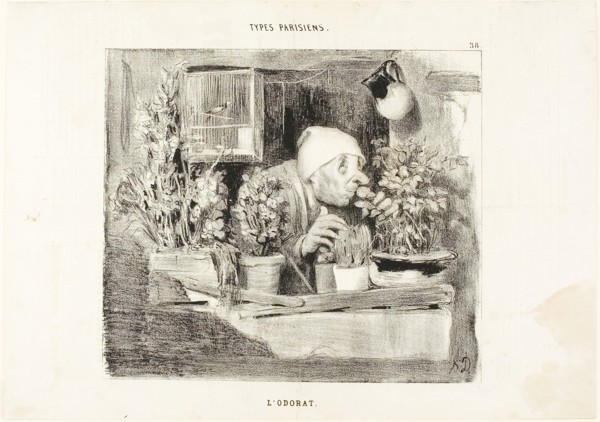 Smell, plate 38 from Types Parisiens, 1839, Honoré Victorin Daumier, French, 1808-1879, France,