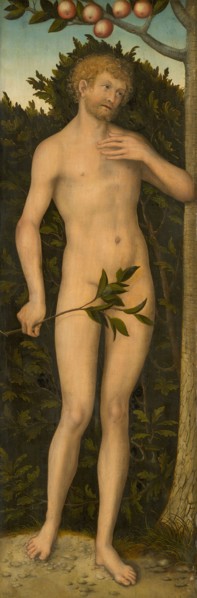Adam, 1533/37, Lucas Cranach the Elder, German, 1472-1553, Germany, Oil on panel, Panel: 107.5 × 36