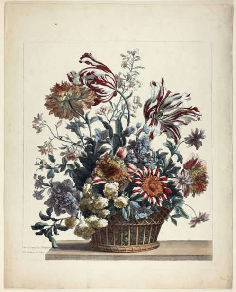 Corbeille, n.d., Jean Baptiste Monnoyer, French, 1636-1699, France, Hand-colored etching on paper